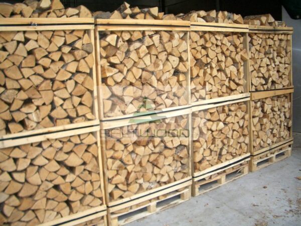 Dried Oak Firewood