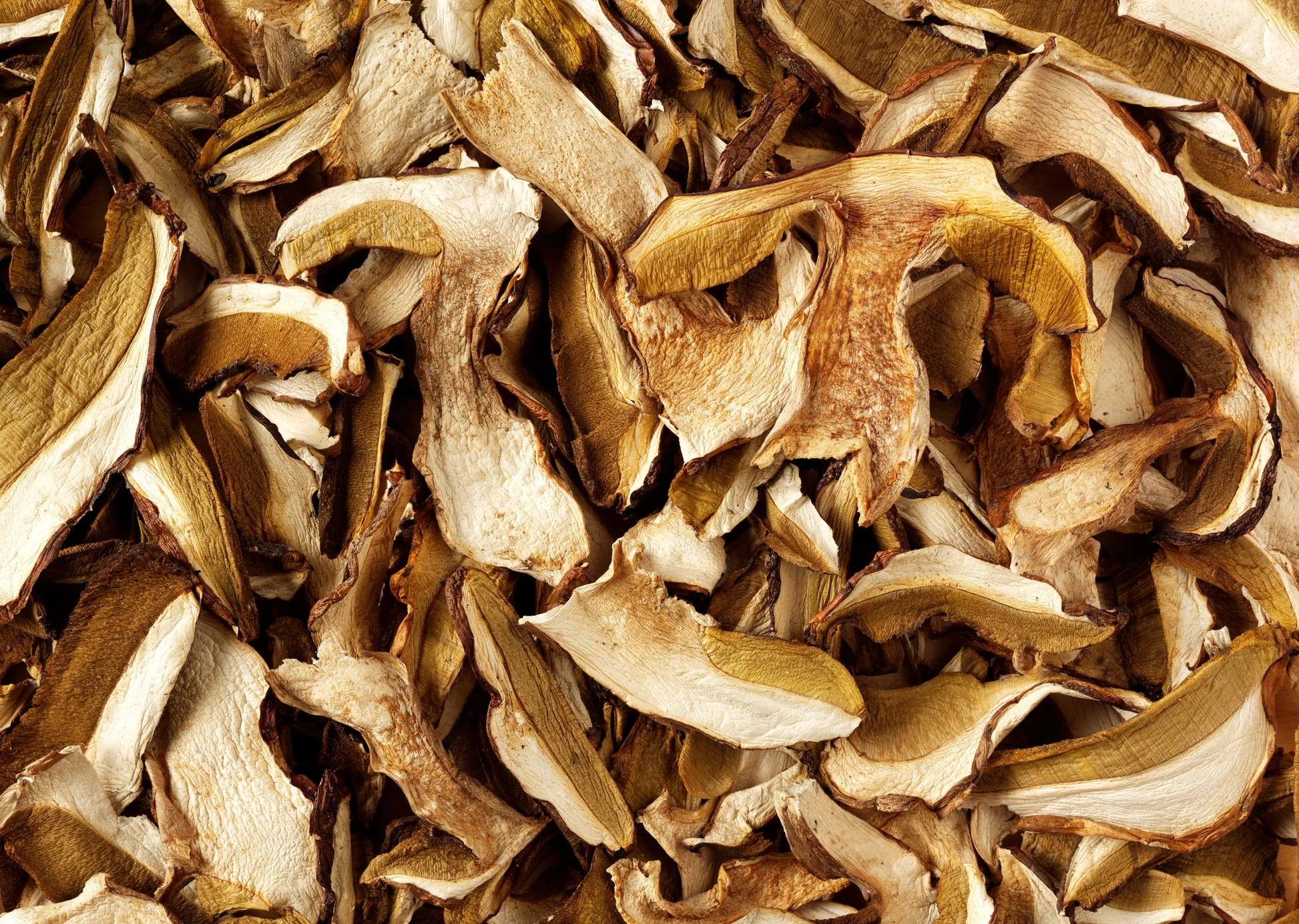 Dried Mushrooms